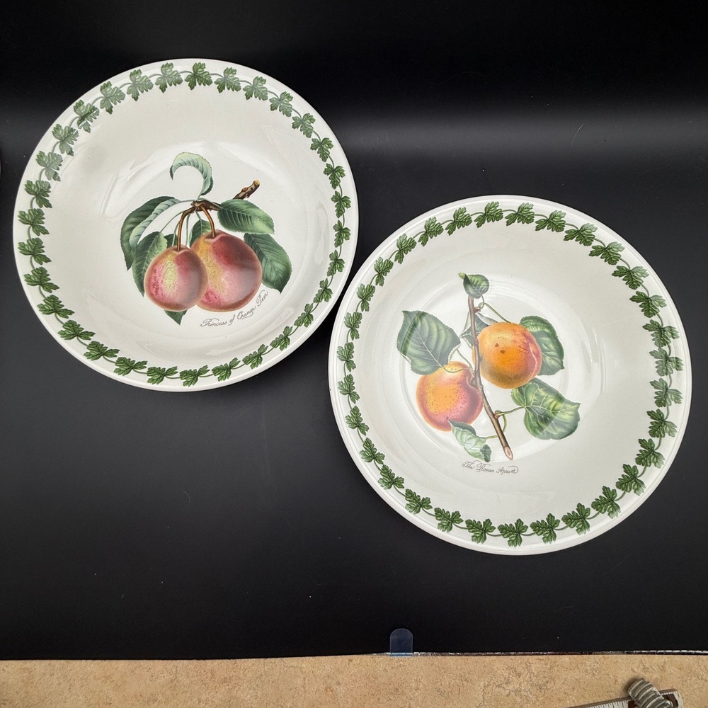 Vintage Portmeirion Pomona Pasta Bowls Set of 2 Fruit Botanical Cottage Core 8in